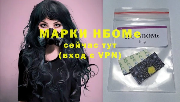 ПСИЛОЦИБИНОВЫЕ ГРИБЫ Няндома