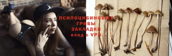 гидропоника Новодвинск