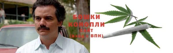 ПСИЛОЦИБИНОВЫЕ ГРИБЫ Няндома