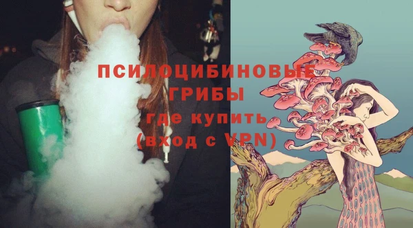гидропоника Новодвинск