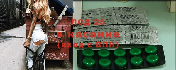ПСИЛОЦИБИНОВЫЕ ГРИБЫ Няндома