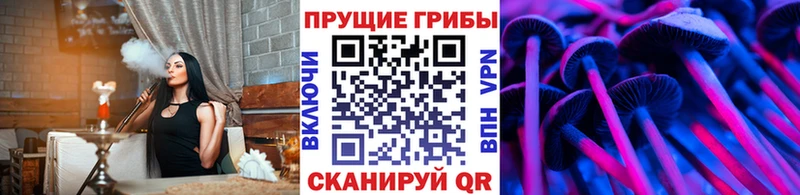Псилоцибиновые грибы Cubensis Томск