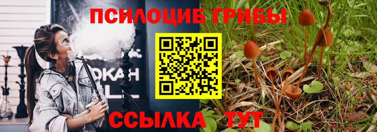 как найти закладки  Галлюциногенные грибы Cubensis  Вход с VPN  Томск  Галлюциногенные грибы прущие грибы 