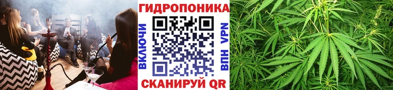 Бошки Шишки план  Томск 